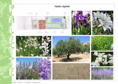 projet de jardin