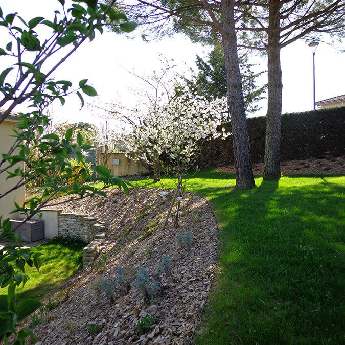 Aménagement du jardin M.